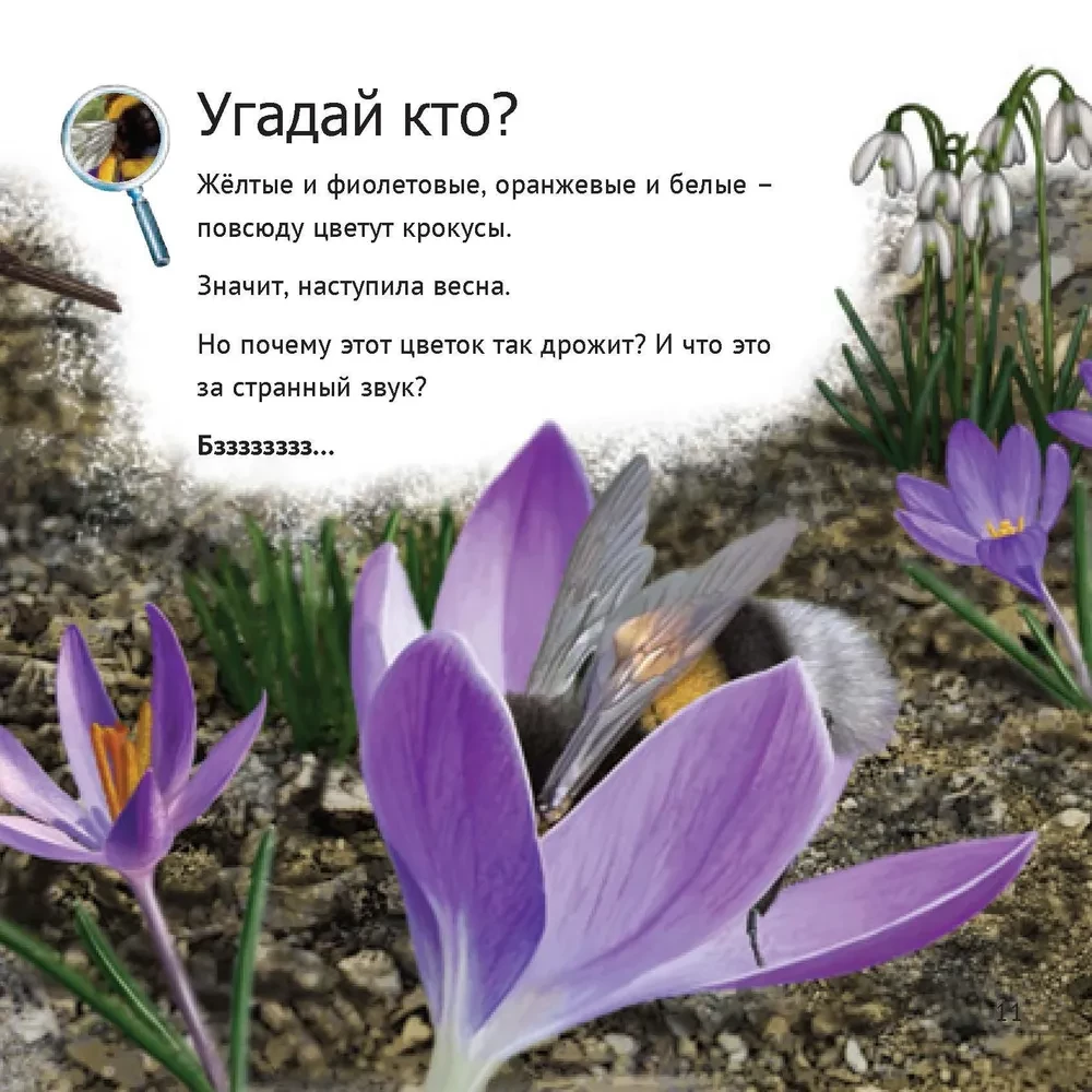 Кто живет у нас на даче: от мала до велика