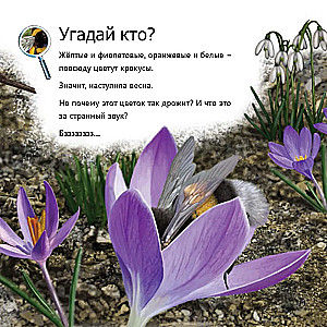 Кто живет у нас на даче: от мала до велика