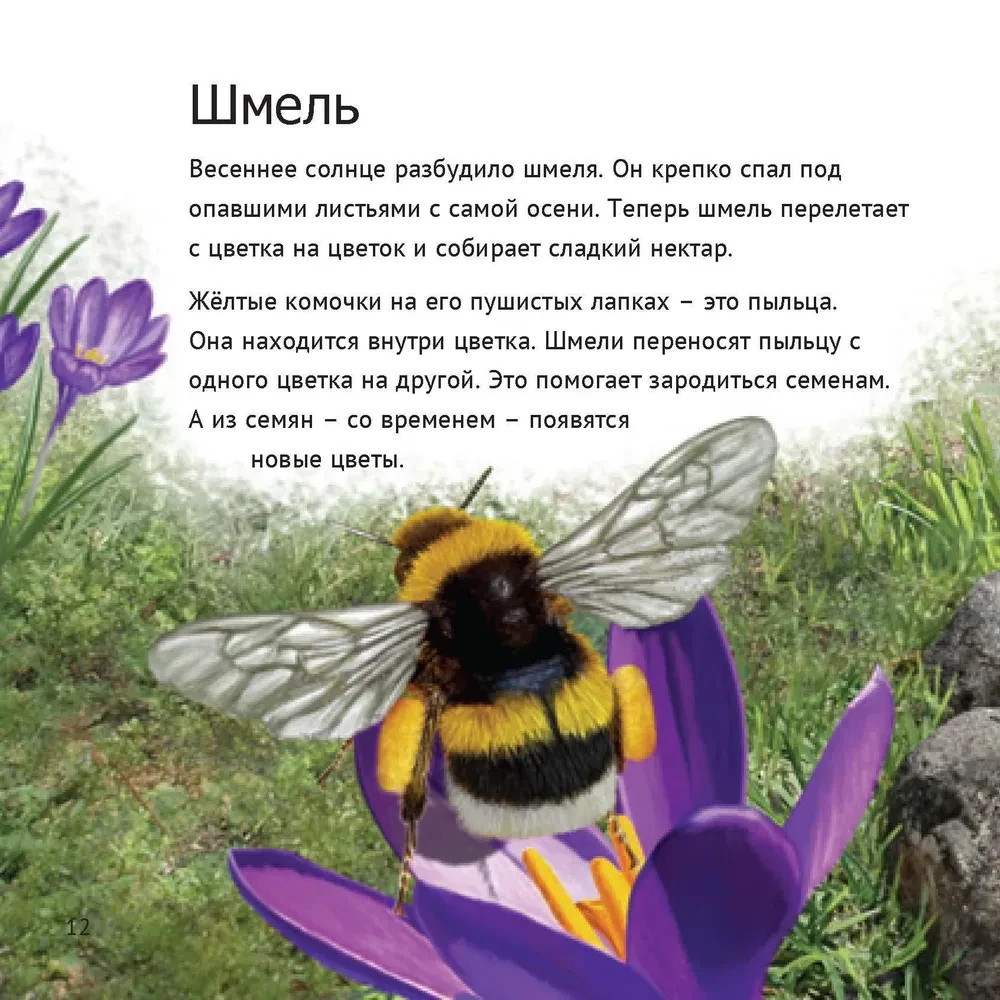 Кто живет у нас на даче: от мала до велика