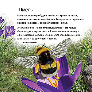 Кто живет у нас на даче: от мала до велика