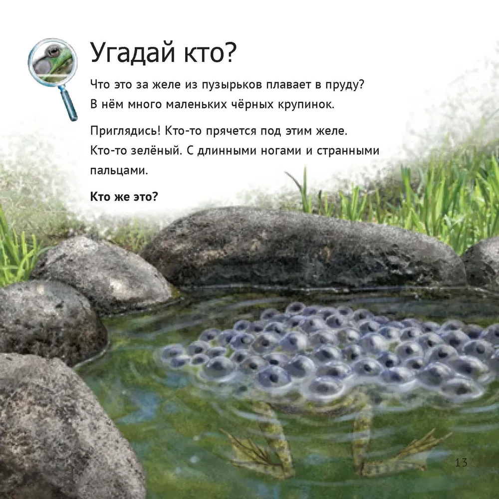 Кто живет у нас на даче: от мала до велика