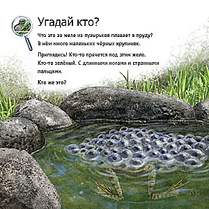 Кто живет у нас на даче: от мала до велика