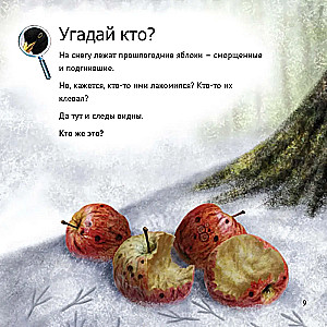 Кто живет у нас на даче: от мала до велика