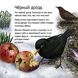 Кто живет у нас на даче: от мала до велика