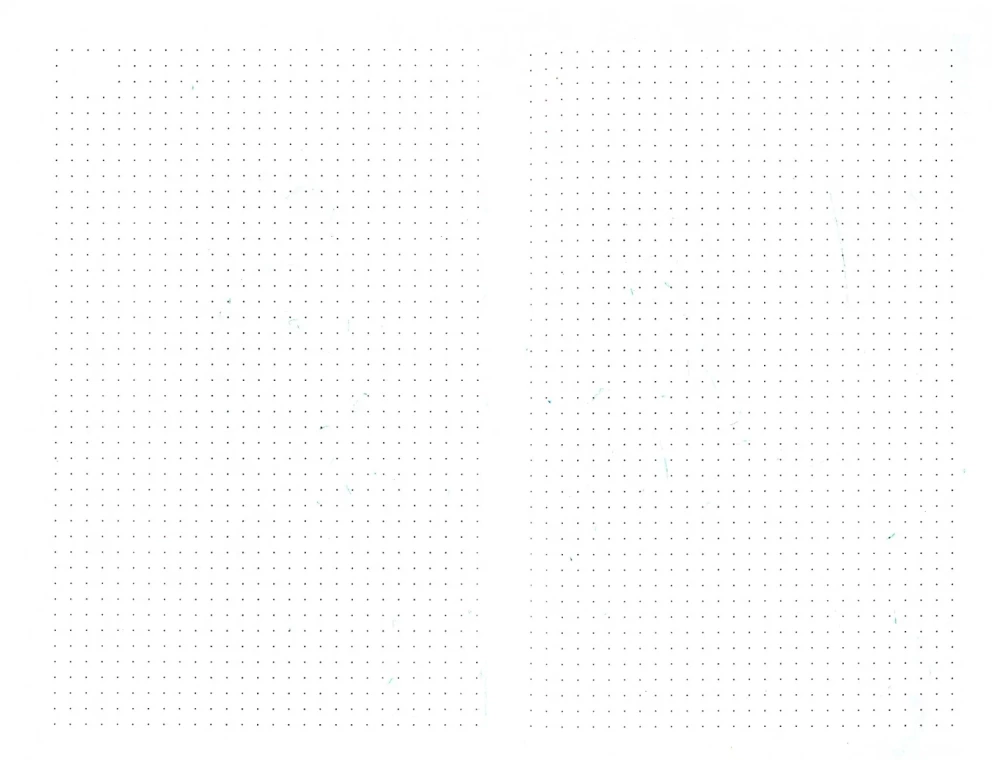 Flower ornament. Gift daily planner (dot grid)