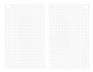 Flower ornament. Gift daily planner (dot grid)