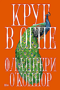 Круг в огне. Рассказы