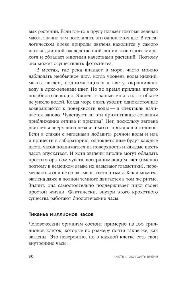 Laiko jausmas. Kodėl laukimas trunka, o laimė skrieja