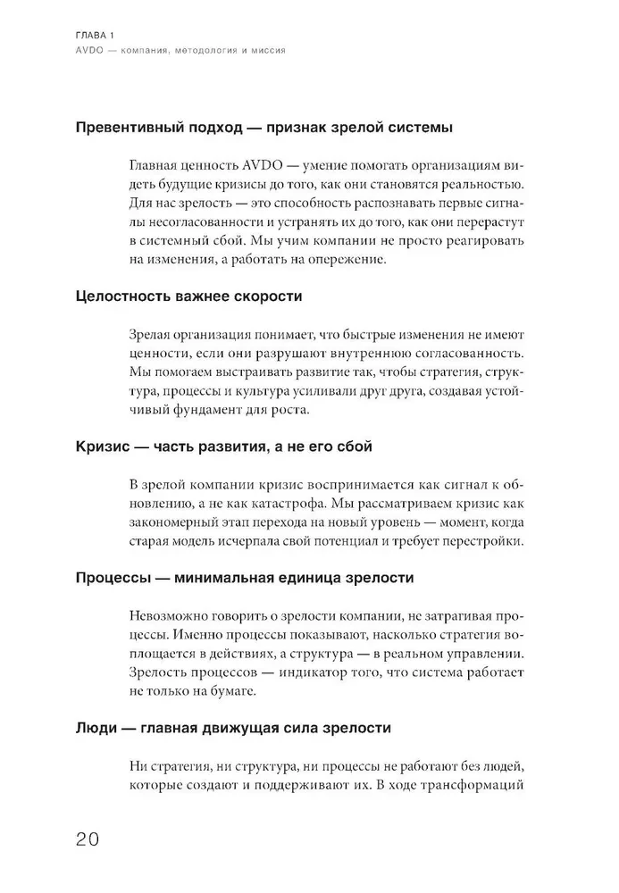 Organizational Maturity and Crisis Management. How a Company Becomes a System