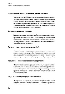 Organizational Maturity and Crisis Management. How a Company Becomes a System