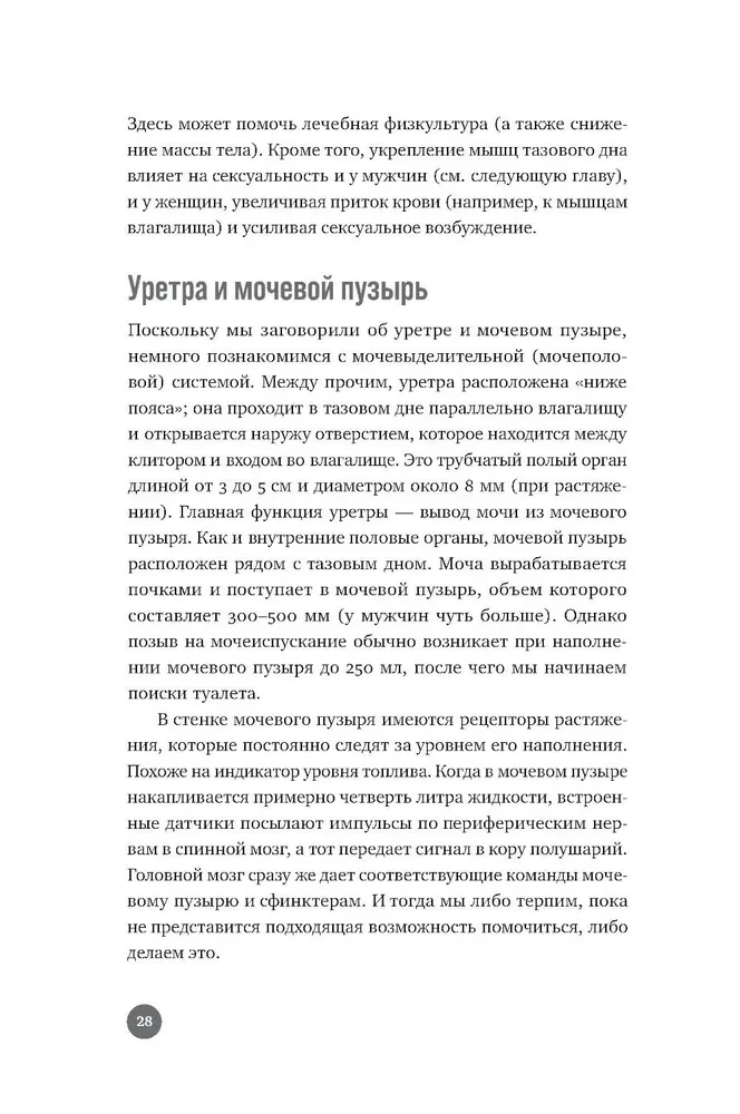 Below the Belt. Openly about the Covered