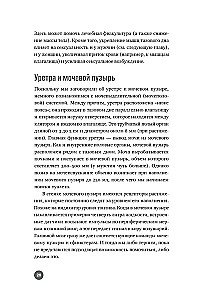 Below the Belt. Openly about the Covered