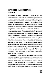 Below the Belt. Openly about the Covered