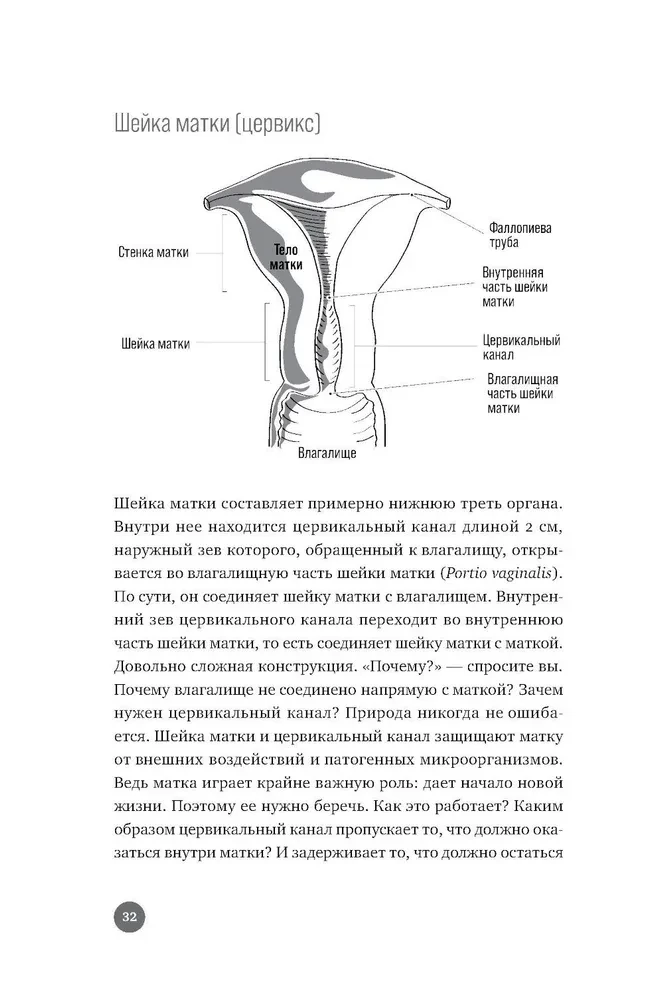 Below the Belt. Openly about the Covered