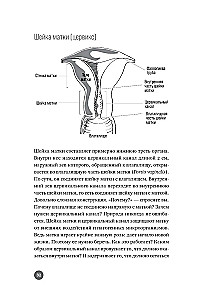 Below the Belt. Openly about the Covered