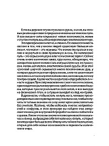 Grimoire of Svartalheim