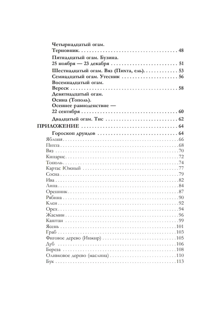 Ogam. Prieinama gido knyga apie pranašavimą airių runomis
