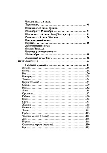 Ogam. Prieinama gido knyga apie pranašavimą airių runomis