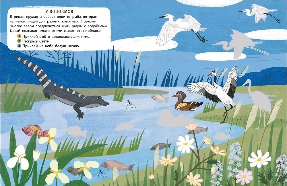 World of Animals. Stickers. By the Waterbody