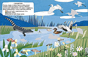 World of Animals. Stickers. By the Waterbody