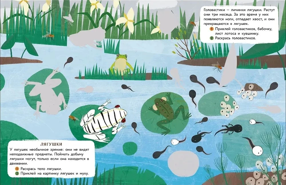 World of Animals. Stickers. By the Waterbody