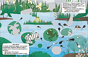 World of Animals. Stickers. By the Waterbody