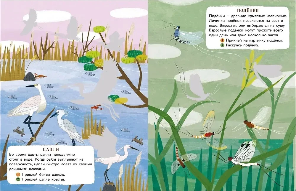 World of Animals. Stickers. By the Waterbody