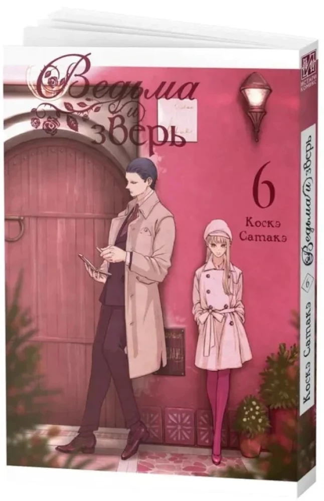 Die Hexe und das Biest. Band 6