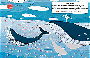 Die Welt der Tiere. Aufkleber. Unter Wasser