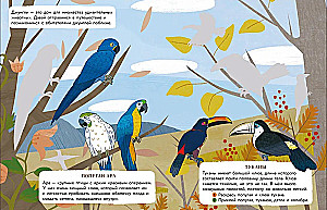 World of Animals. Stickers. Jungle