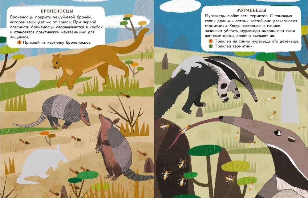 World of Animals. Stickers. Jungle