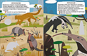 World of Animals. Stickers. Jungle