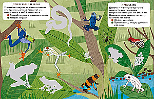 World of Animals. Stickers. Jungle