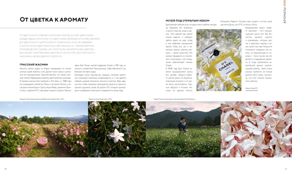 Absolut CHANEL. Zusammenstellung in einer Box