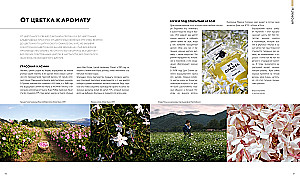 Absolut CHANEL. Zusammenstellung in einer Box