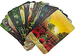 Oracle - Walk Through the Forest (36 cards + guide)