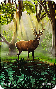 Oracle - Walk Through the Forest (36 cards + guide)