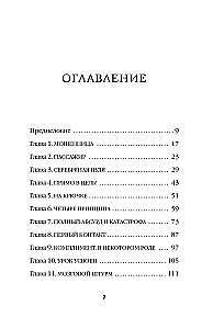 Silver Bullet. A Business Novel about Infecting Others with Your Idea