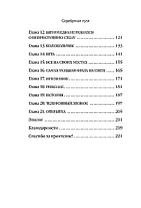 Silver Bullet. A Business Novel about Infecting Others with Your Idea