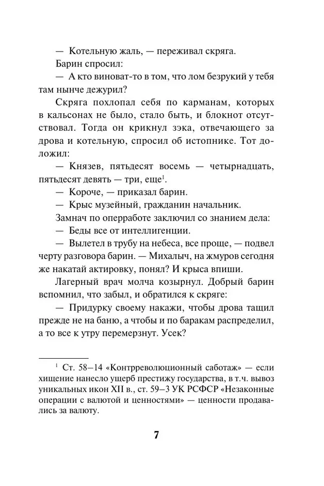 Äike pioneerilaagri kohal