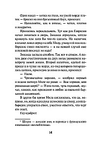 Äike pioneerilaagri kohal