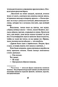 Äike pioneerilaagri kohal