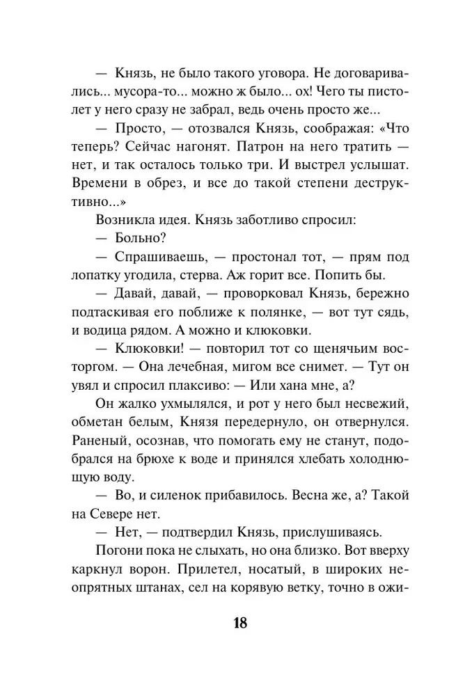 Äike pioneerilaagri kohal