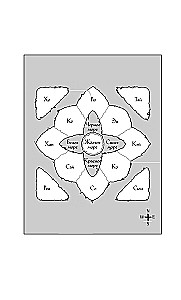 Zwölf Königreiche. Buch 1. Der Schatten des Mondes