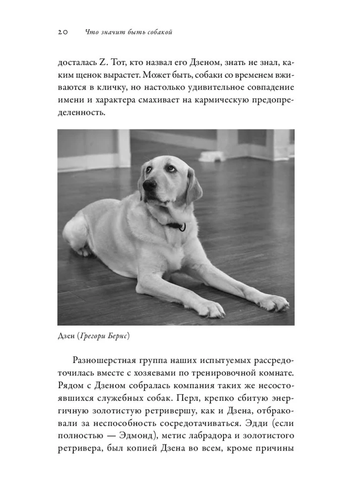 Co znaczy być psem: I inne odkrycia w dziedzinie neurobiologii zwierząt