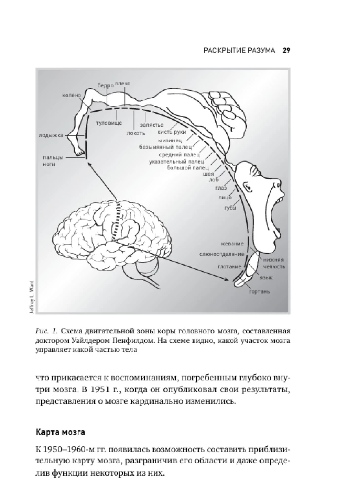 Przyszłość umysłu