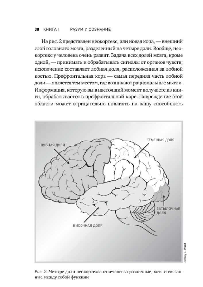 Przyszłość umysłu
