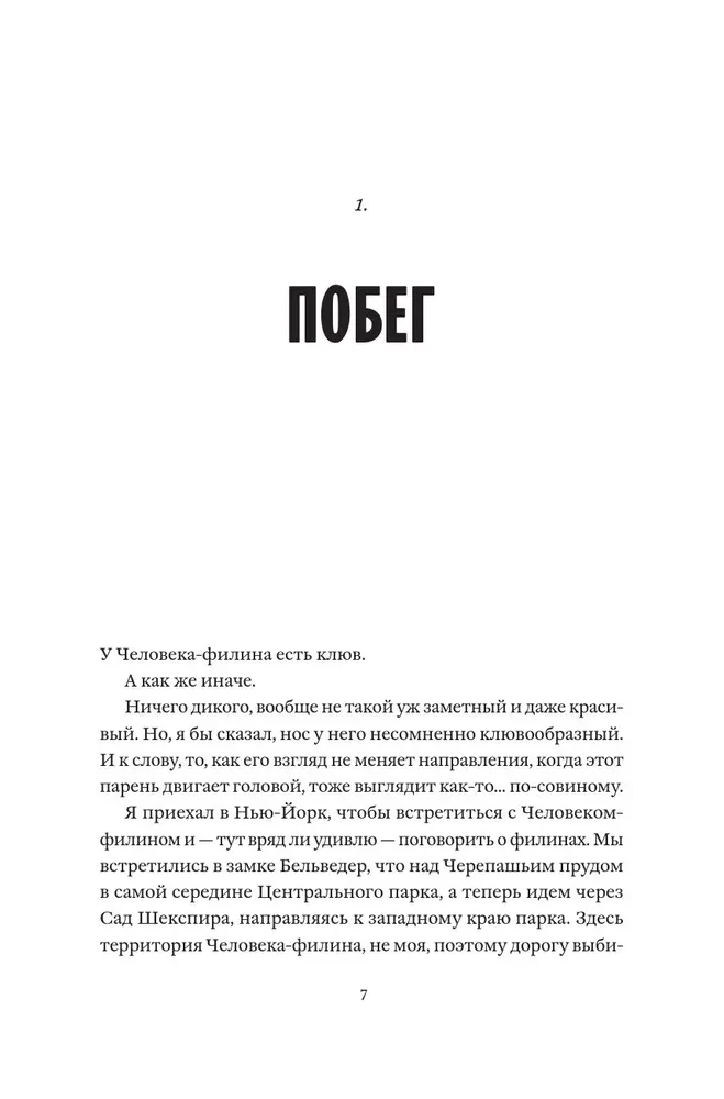 Uhu Flaco. Die Geschichte des berühmtesten Vogels der Welt