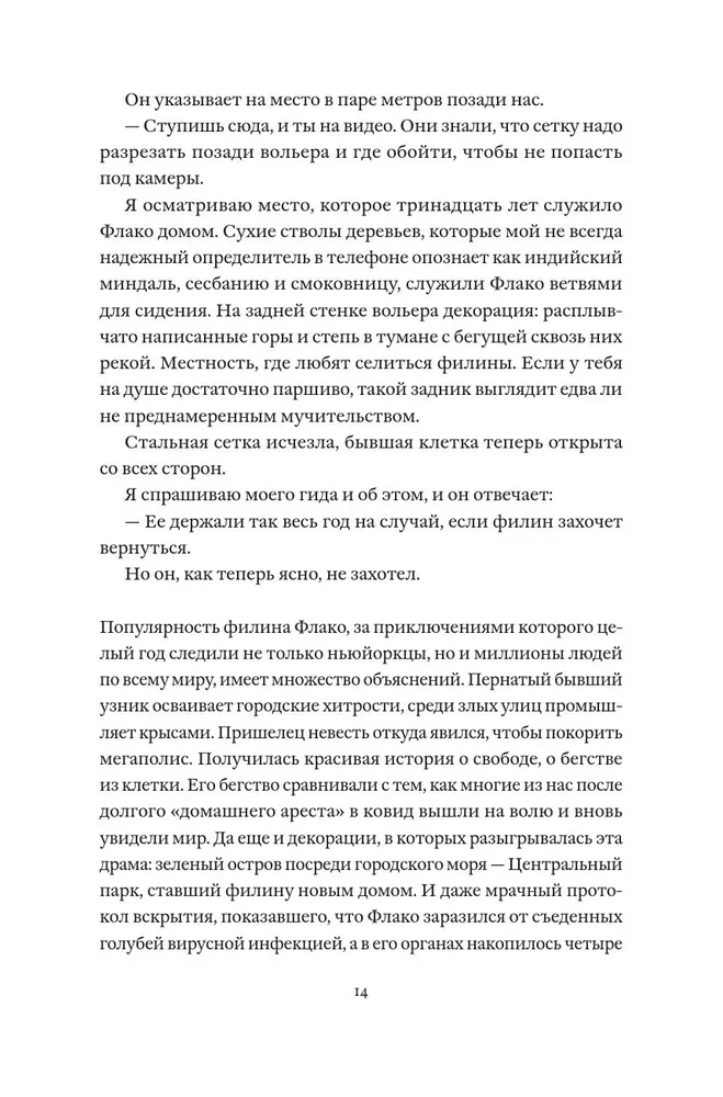 Uhu Flaco. Die Geschichte des berühmtesten Vogels der Welt