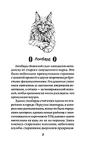 Katzens Auge zur magischen Stunde